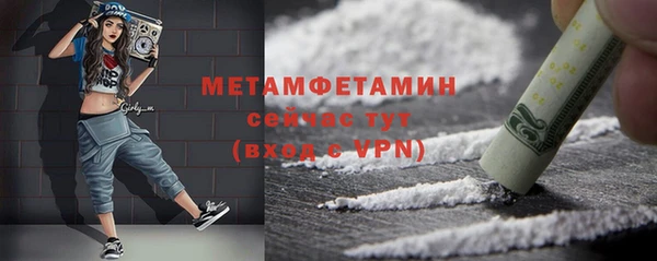 прущие грибы Мегион