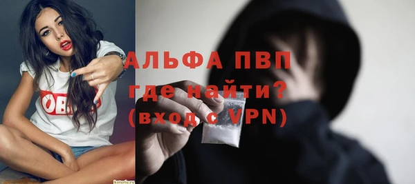 прущие грибы Мегион