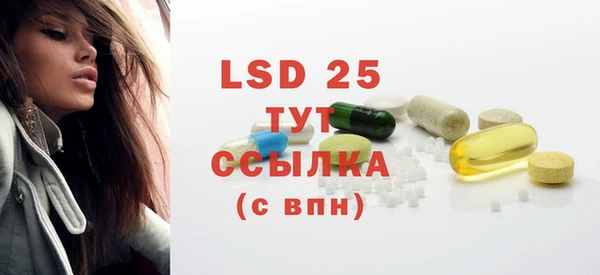 прущие грибы Мегион