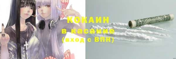 прущие грибы Мегион