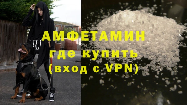 прущие грибы Мегион