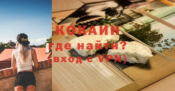 прущие грибы Мегион