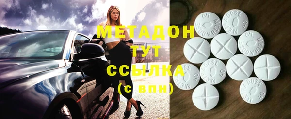 прущие грибы Мегион