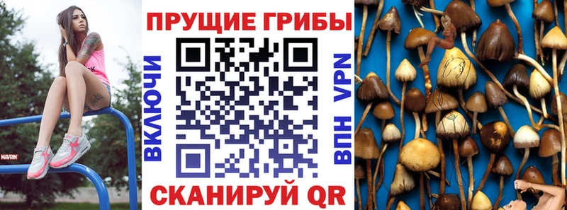 Галлюциногенные грибы прущие грибы  Усмань 
